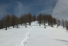 Cresta innevata Carmen.jpg