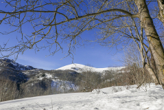 3) L Alpe di Rittana sullo sfondo - cristina rolla.jpg