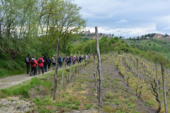 04_Ritorno_S_Marzanotto_Villa_Badoglio.JPG