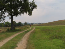 02_lungo il percorso.JPG