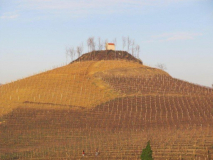 04-Grazzano Badoglio-Tra prati e vigne.jpg