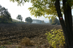 06-Grazzano Badoglio-Tra prati e vigne.JPG