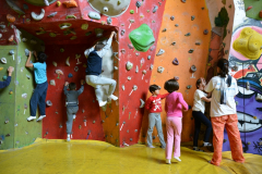 11-Palestra-arrampicata.JPG