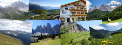 SETTIMANA VERDE – Dal 24 al 31 agosto 2025