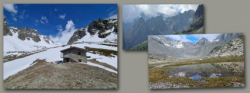 Rif. Crête Sèche 2410 m. - Colle di Crête Sèche 2897 m.  --  Giovedì 26 giugno 2025