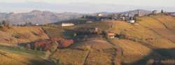Aperitrekking sulle colline del Monferrato  - Domenica 23 Novembre 2025