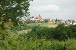 San Marzanotto – Mongardino