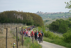 Castelnuovo Don Bosco - Nelle terre dei Santi