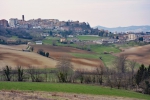 Le colline del tartufo a Moncalvo