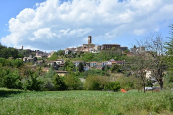 Boschi della chiesa del presepio e del rio secco - Mombaruzzo